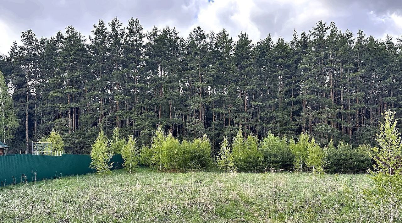 земля городской округ Раменский д Становое Удельная фото 10