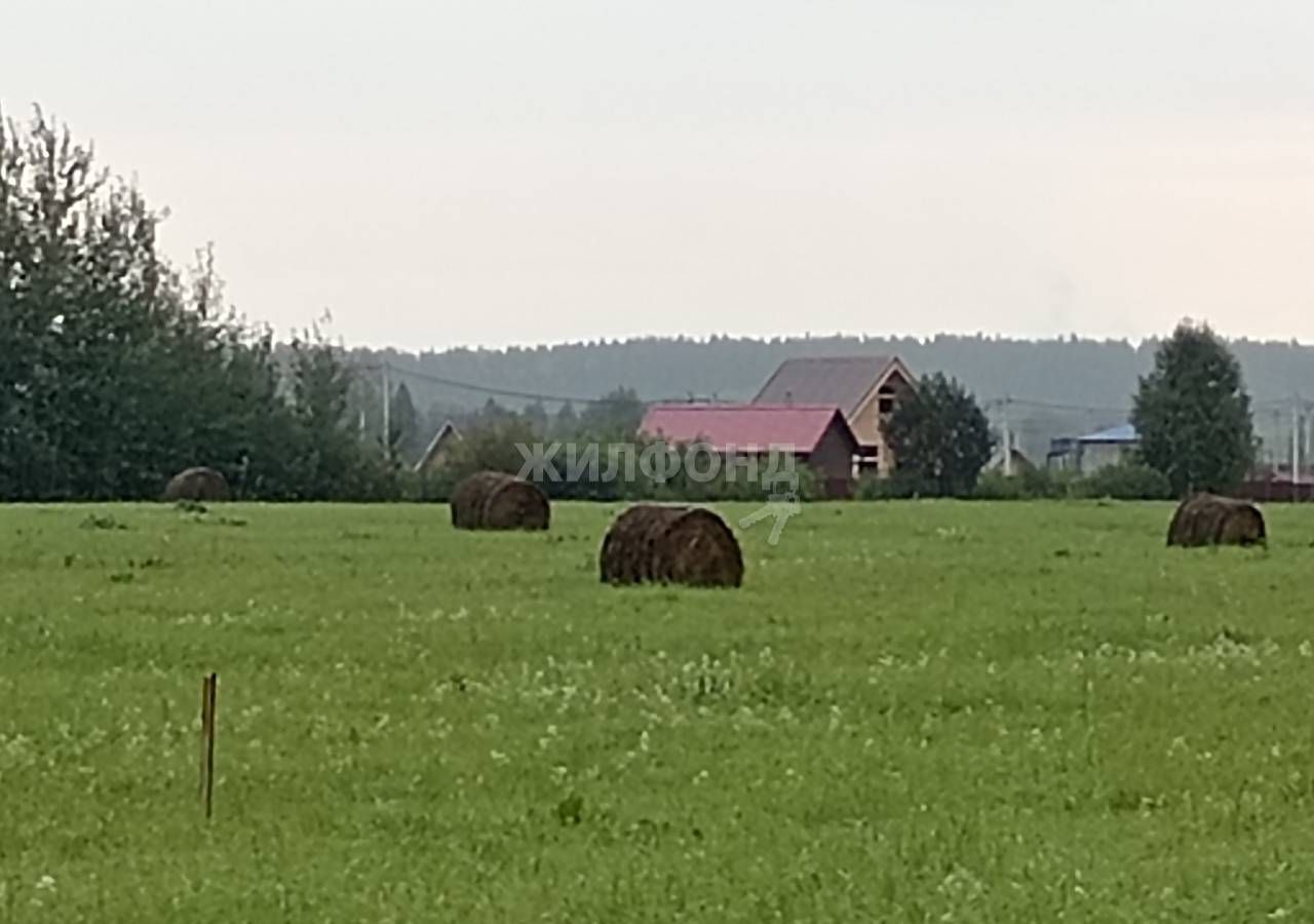 земля р-н Новосибирский снт Зеленая Поляна Кубовинский сельсовет, Колывань фото 2