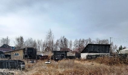 р-н Центральный ДНТ, Урожай фото