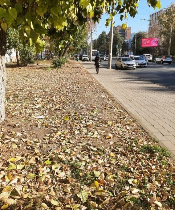 свободного назначения г Самара р-н Октябрьский Алабинская ул Мичурина 48 фото 1