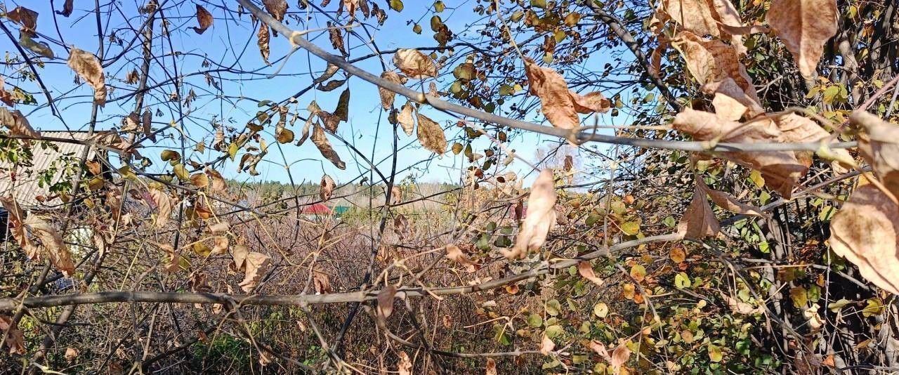 дом р-н Первомайский п Казачий ул Красноармейская фото 3