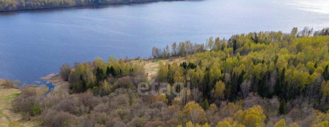 земля р-н Красносельский д Сухара Прискоковское с/пос фото 1