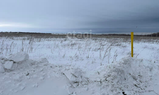 земля р-н Оренбургский с Благословенка фото 3