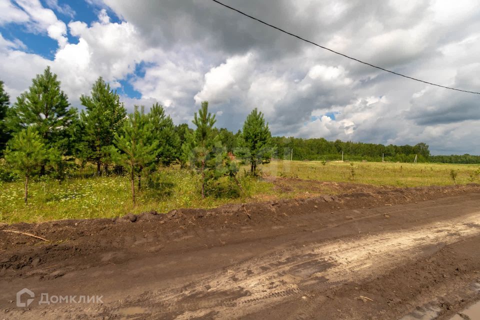 земля р-н Нижнетавдинский д Московка 2-я линия фото 7