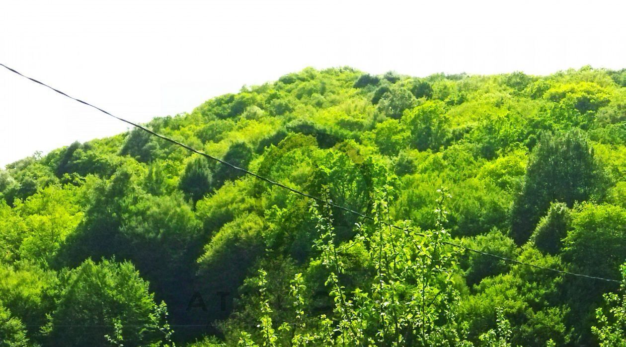 земля р-н Апшеронский ст-ца Куринская пер Гаражный фото 3