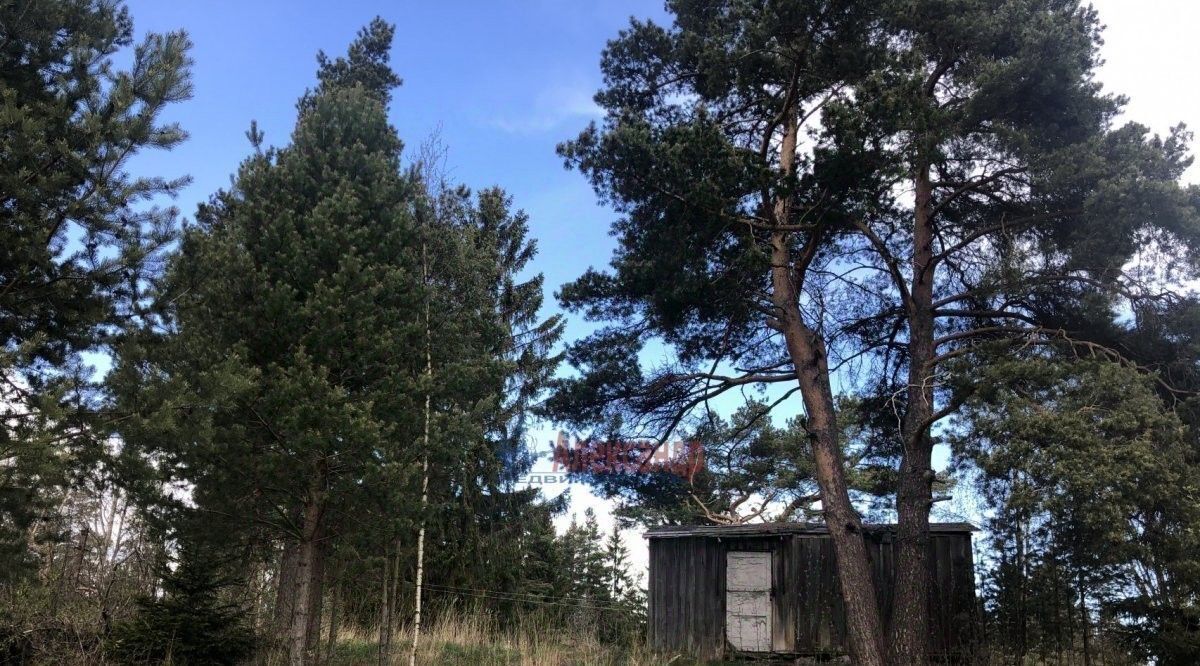 земля р-н Приозерский п Бригадное Приозерское городское поселение фото 1