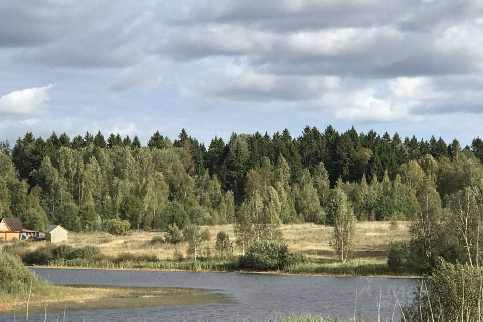 земля городской округ Шаховская коттеджный посёлок Новорижский пляж фото 3