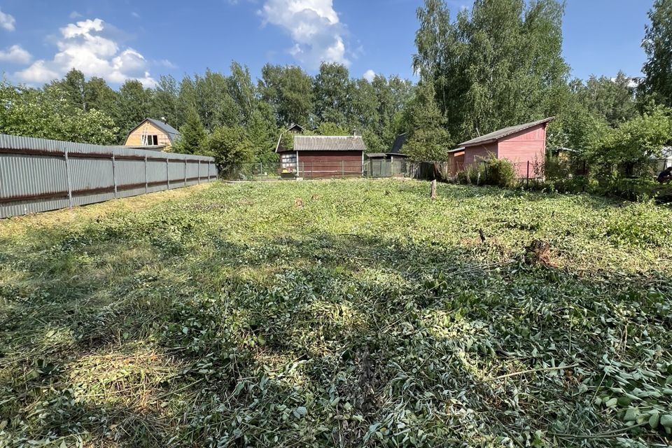 земля городской округ Богородский СНТ Меркурий-1 фото 4