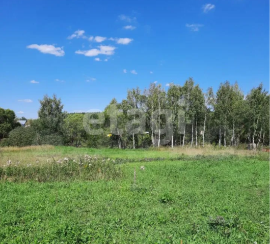 Гальчино Сити, Домодедово городской округ фото