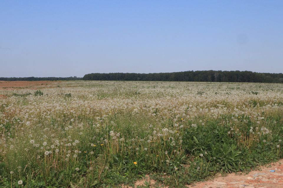 земля г Домодедово Белые Столбы, Домодедово городской округ фото 5