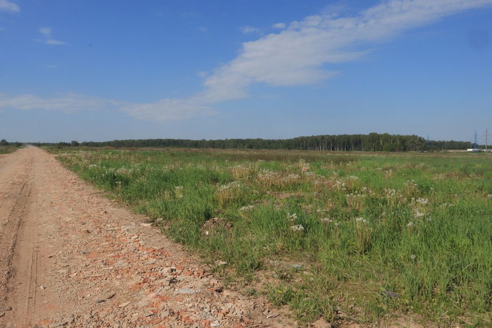 земля г Домодедово Белые Столбы, Домодедово городской округ фото 8