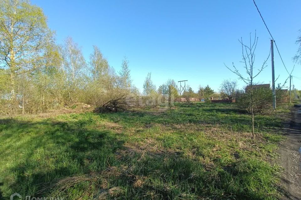 земля городской округ Воскресенск Ворыпаево фото 6