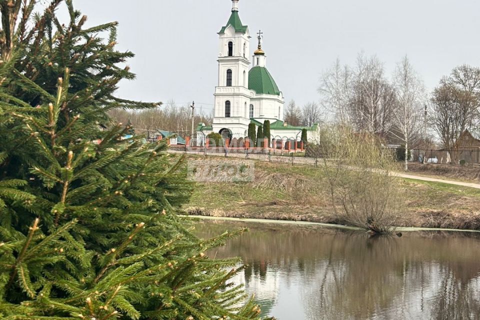 земля городской округ Домодедово с Успенское Коттеджный посёлок Барыбино, Москва фото 4