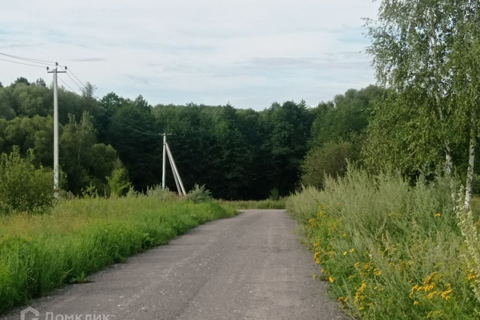 земля Коломна городской округ, СНТ Ягодное, Новоселки фото 2