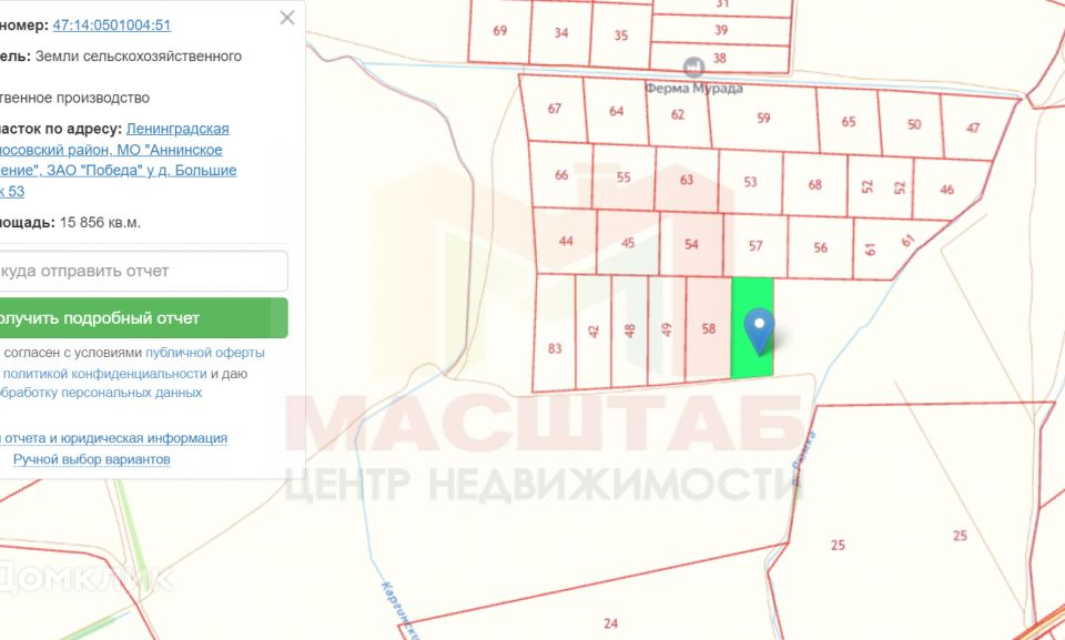 земля р-н Ломоносовский фото 6