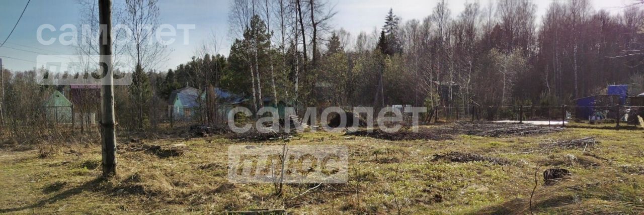 земля г Семенов пос. Станции Осинки, ул. Новая, 31 фото 3