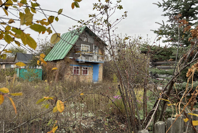 садоводческое товарищество Заря фото