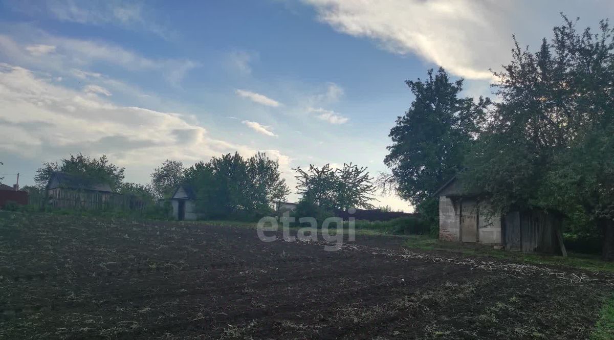 земля г Фокино Мичуринское с/пос, СДТ, Брянский район, Мичуринец фото 3