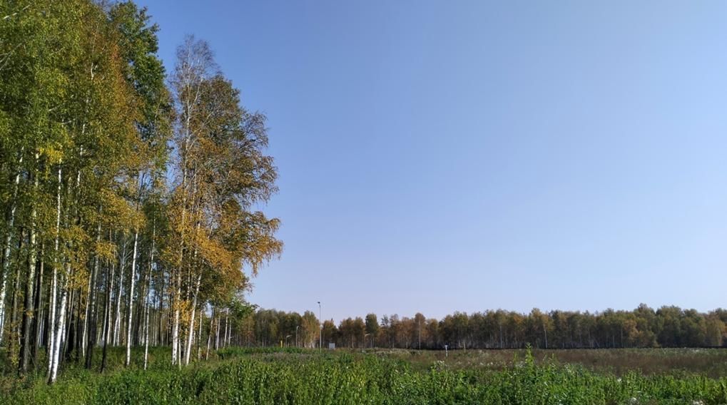 земля р-н Сысертский п Габиевский фото 1