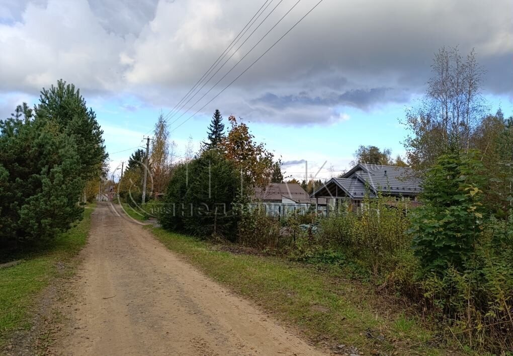 земля р-н Всеволожский снт Ника Приозерское шоссе, 9747 км, Агалатовское сельское поселение, Васкелово фото 7