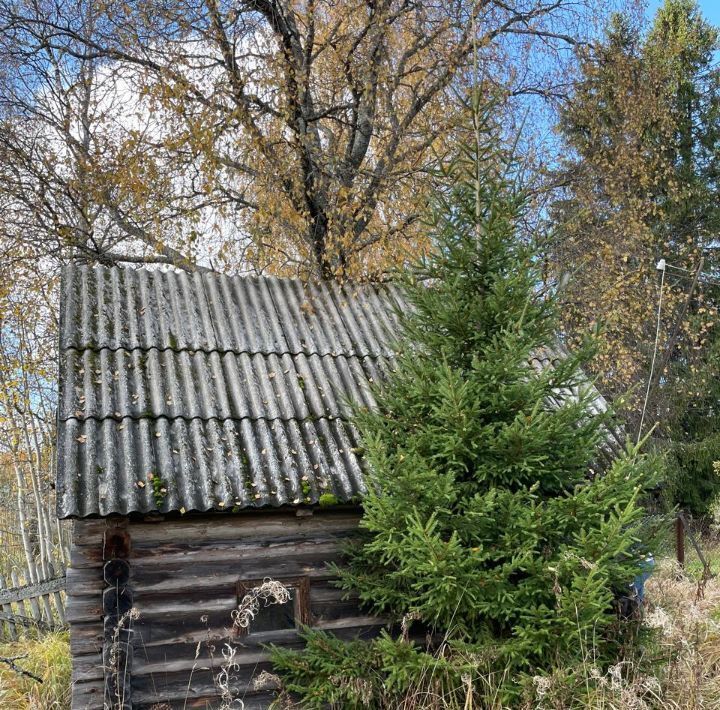 дом р-н Лужский п Мшинская ул Советская 28 фото 9