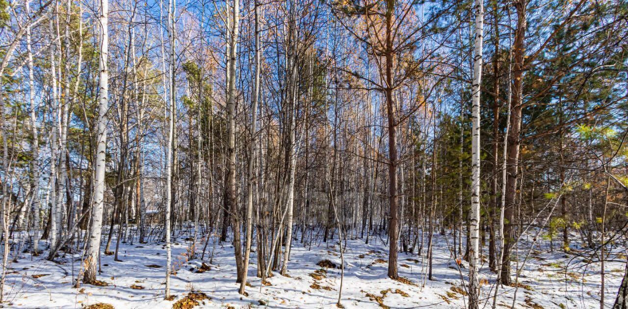 земля р-н Тюменский с Перевалово ул Сиреневая фото 4