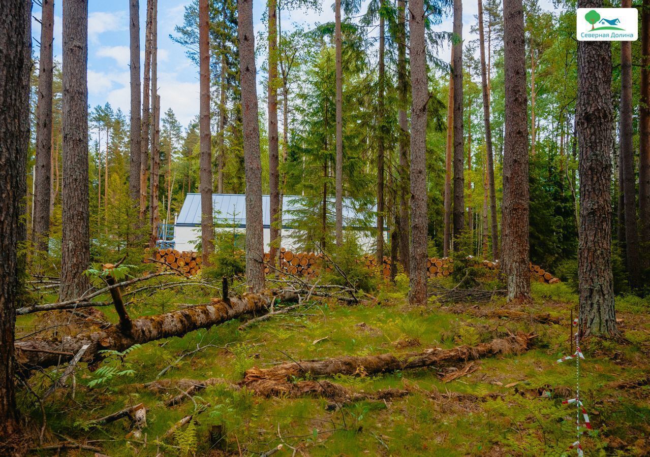 земля р-н Всеволожский 22 км, Всеволожский р-н, Токсовское городское поселение, коттеджный пос. Экофорест, Лесколово, Ленинградское шоссе фото 14