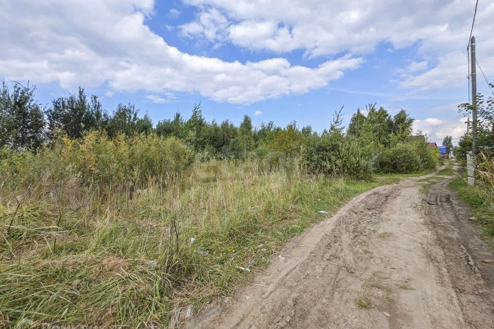 земля г Тюмень снт Поляна ул Вишневая городской округ Тюмень фото 3