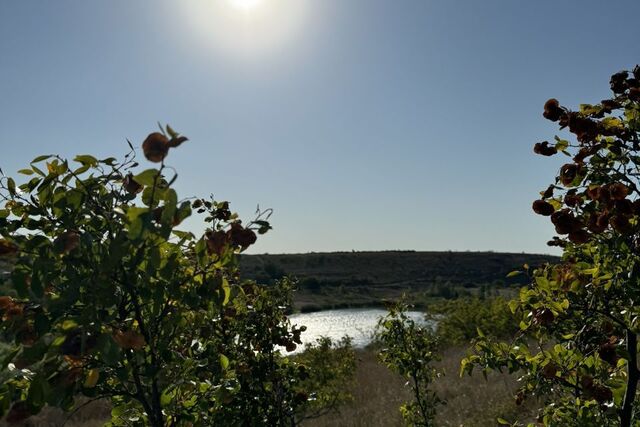 село Маловидное фото