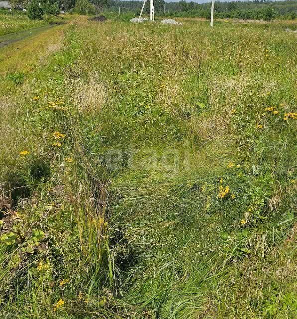 земля г Екатеринбург Екатеринбург городской округ, Чкаловский фото 1