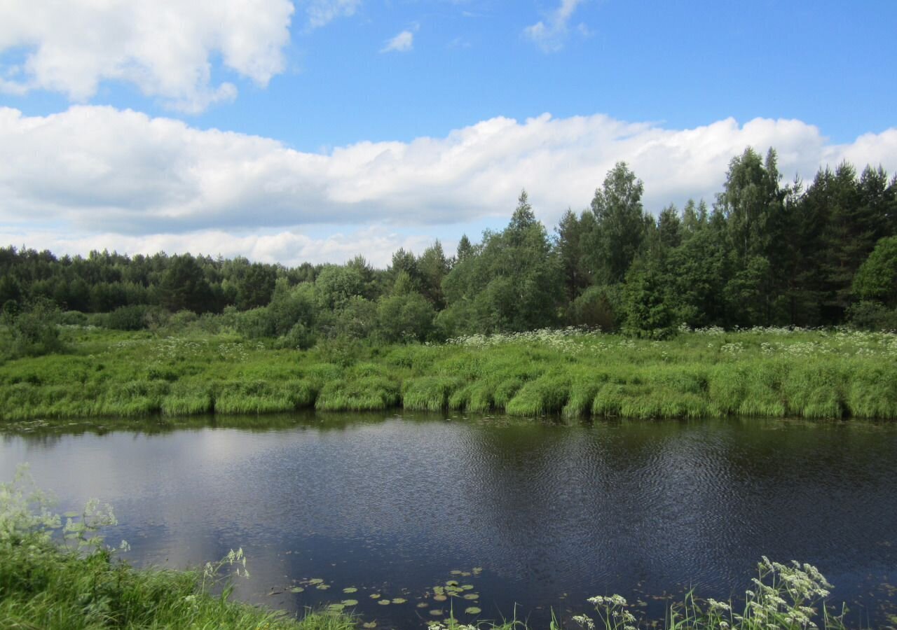 земля р-н Рамешковский с/п Ведное д Сорокино Рамешки фото 4