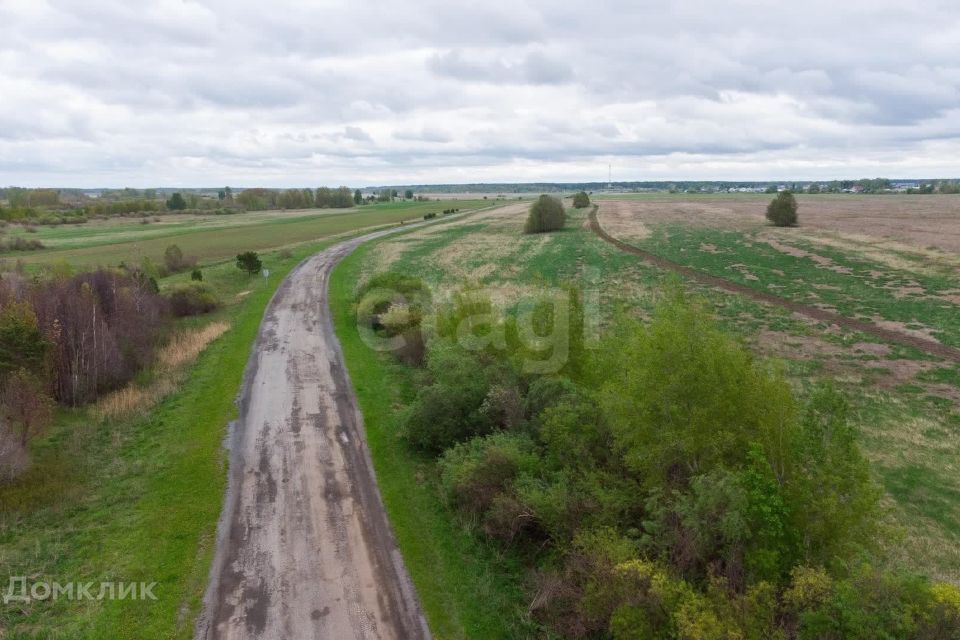 земля р-н Тюменский село Салаирка фото 4