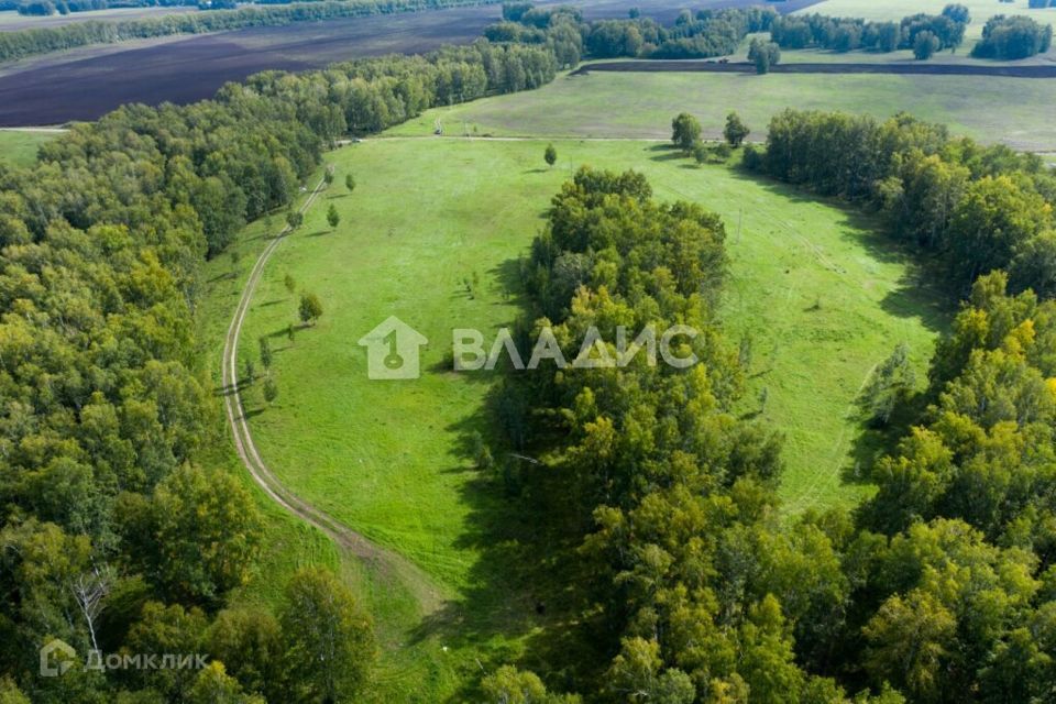 земля р-н Новосибирский ТСН Ближняя Дача, Агатовая улица фото 3