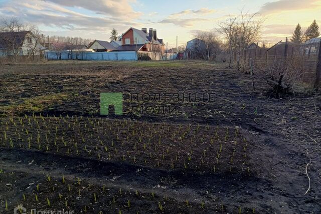 село Чесноковка фото