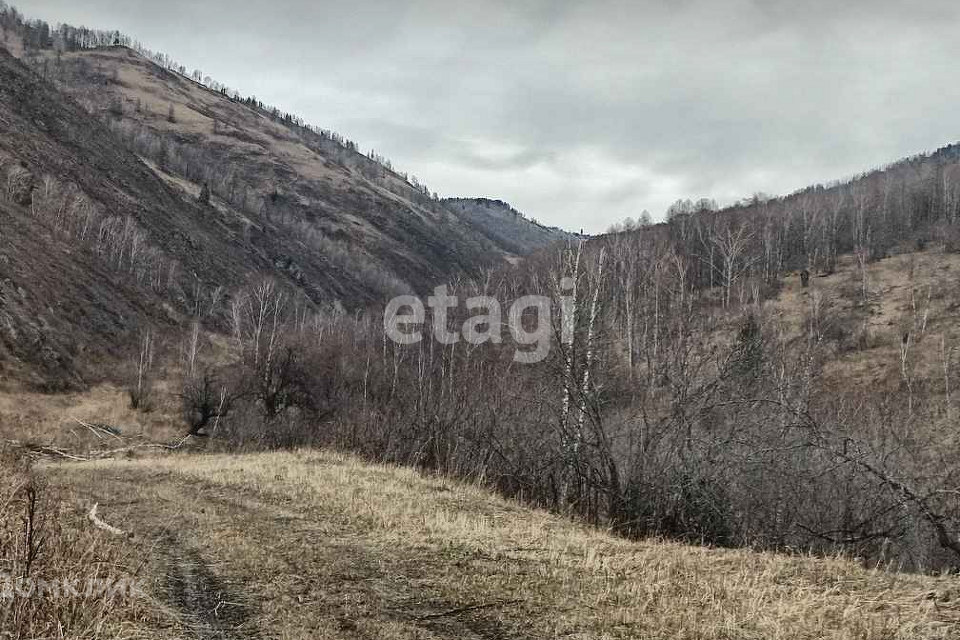 земля р-н Чемальский село Чемал фото 1