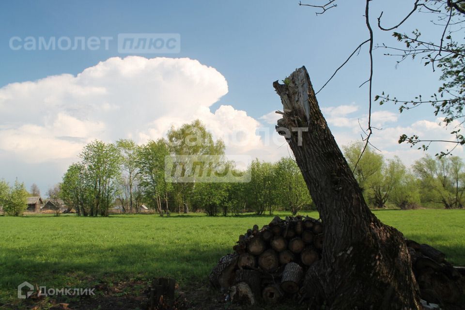 земля р-н Куженерский фото 3