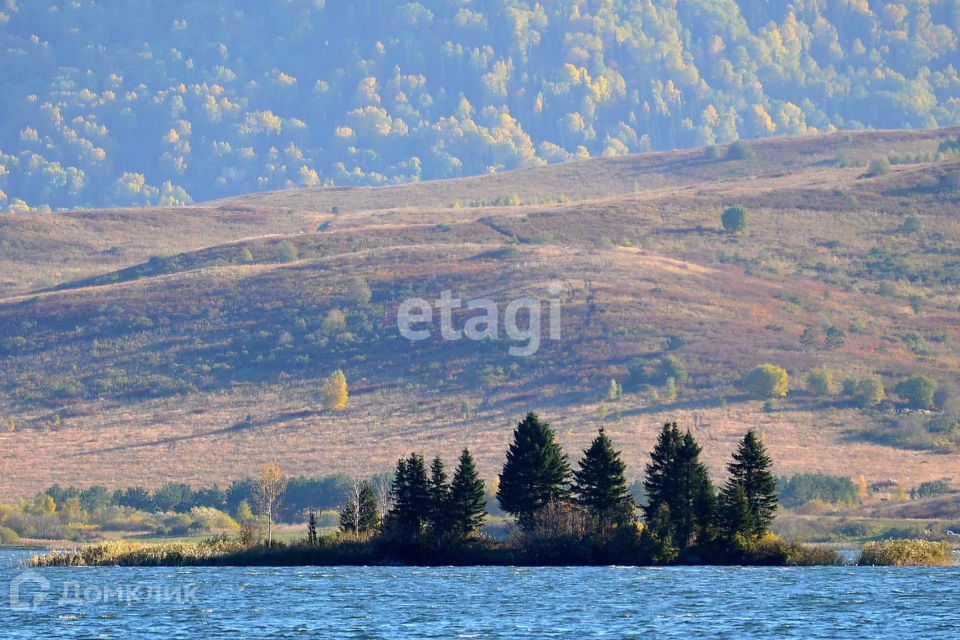 земля р-н Алтайский село Ая фото 2