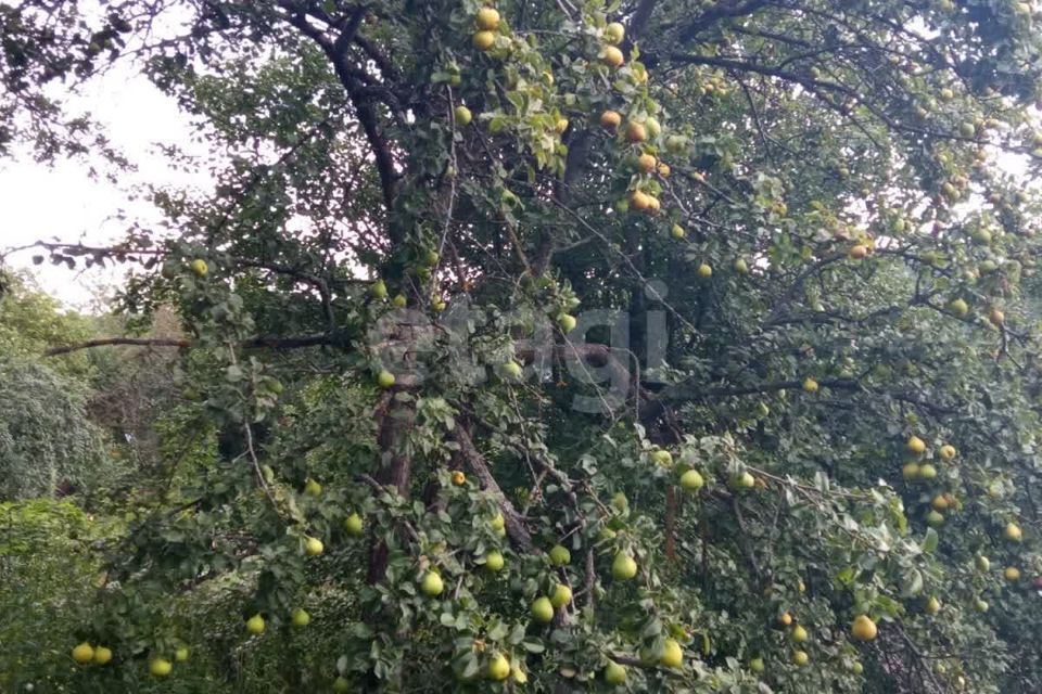 дом г Старый Оскол Старооскольский городской округ, СНТ Горняшка фото 6