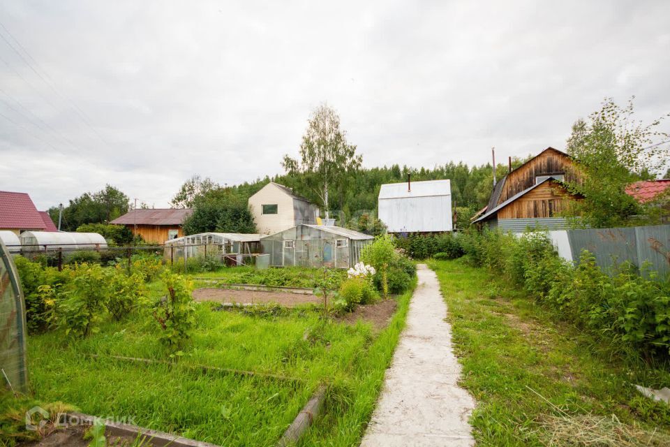 земля г Пыть-Ях городской округ Пыть-Ях, СНТ Зорька фото 5