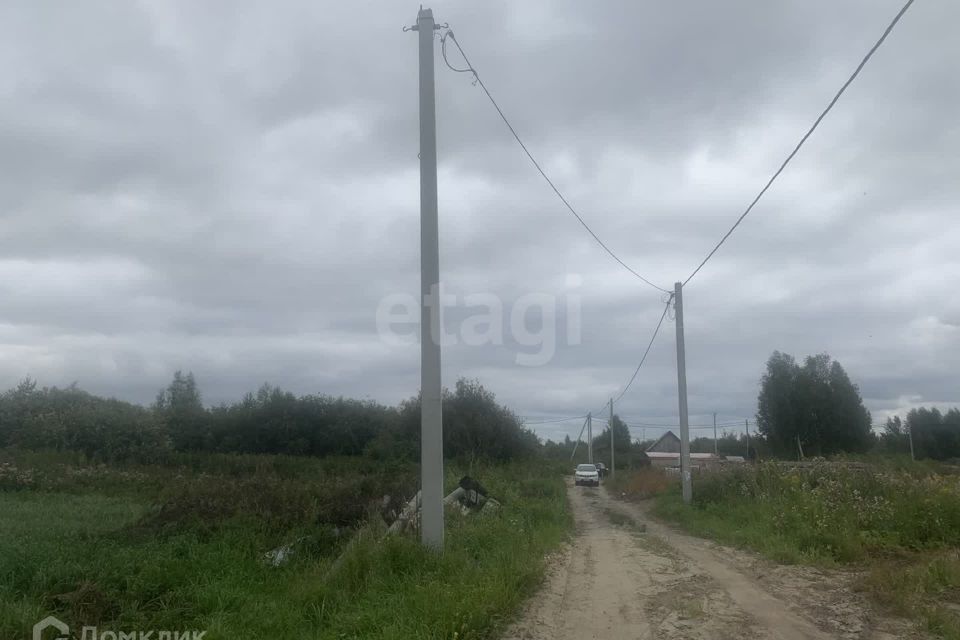 земля г Тюмень снт Липовый остров ул Восточная 6-я городской округ Тюмень фото 6