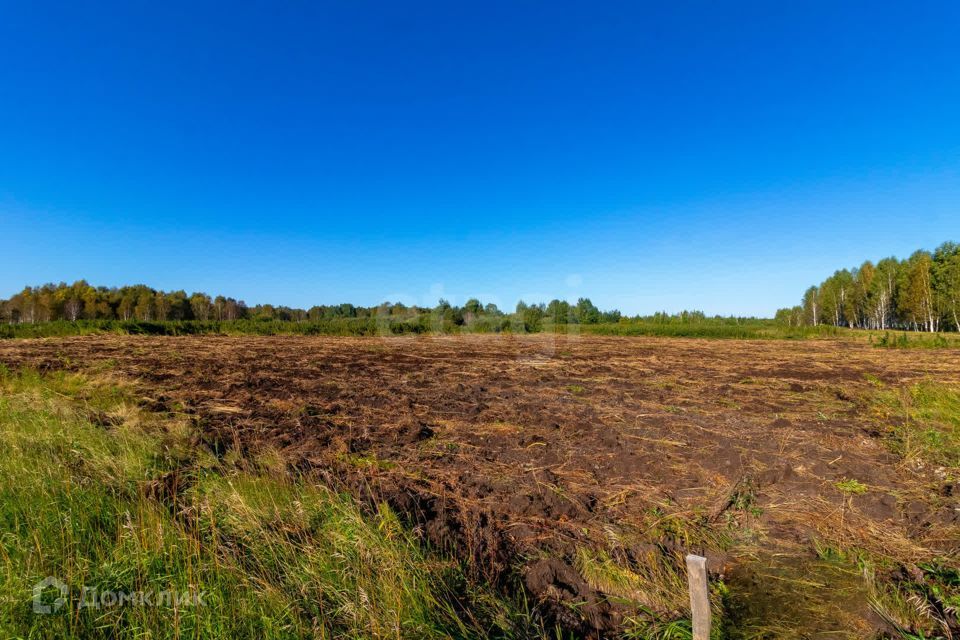 земля г Тюмень городской округ Тюмень, СНТ Облепиховое фото 6