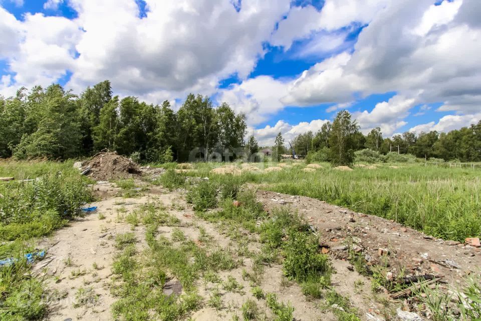 земля г Тюмень городской округ Тюмень, улица Поле чудес фото 7