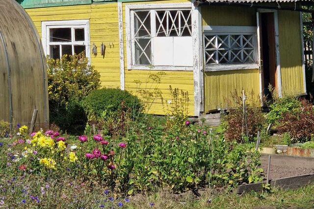 Сыктывкар городской округ, СНТ Север фото