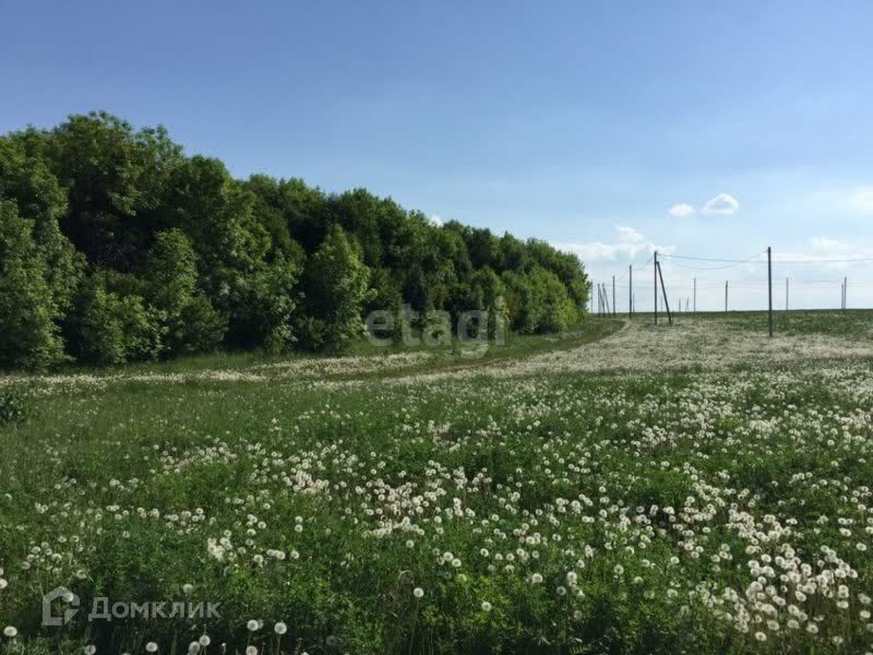 земля р-н Тукаевский Республика Татарстан Татарстан, деревня Кулушево фото 1