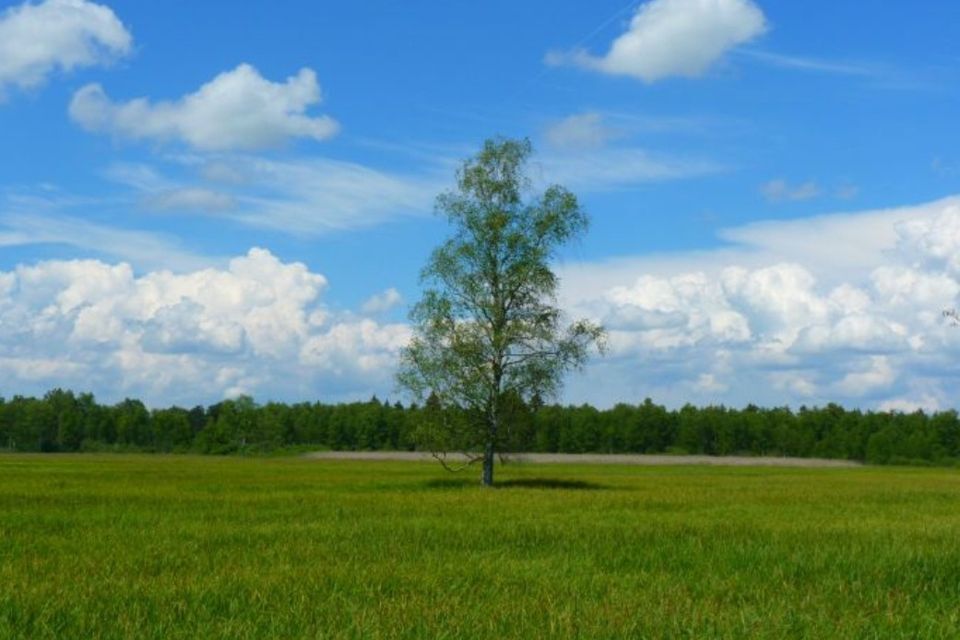 земля г Армавир городской округ Армавир, 8-й микрорайон фото 1