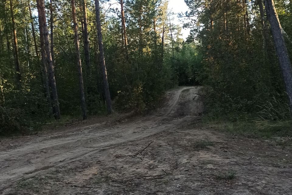 земля у Мегино-Кангаласский посёлок городского типа Нижний Бестях фото 9