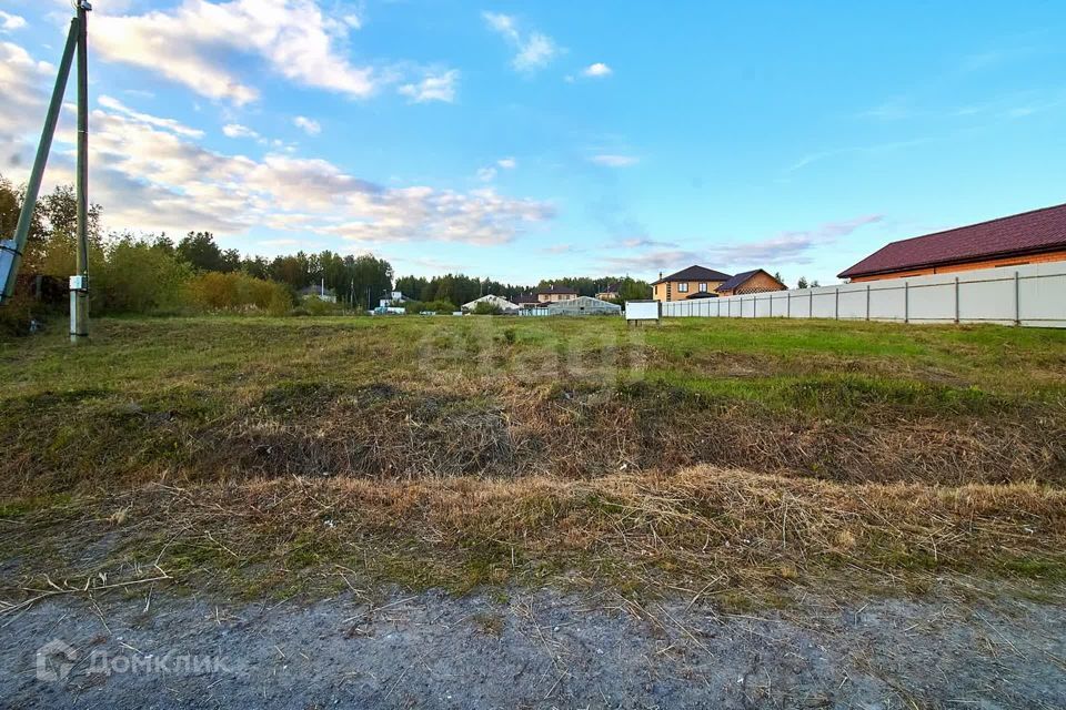 земля р-н Тюменский рп Боровский ул Новая Озерная фото 10