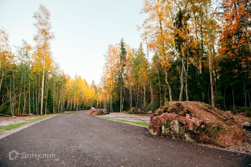 земля р-н Выборгский фото 1