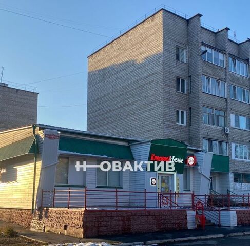 п Нижняя Согра ул Мичурина 46 фото