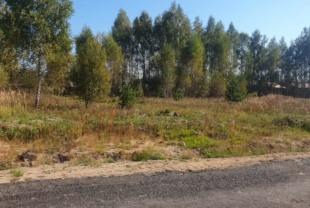 земля городской округ Раменский д Дергаево Раменское фото 3